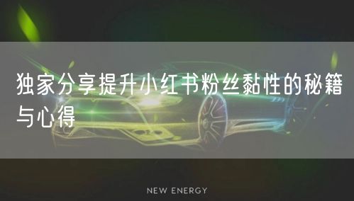 独家分享提升小红书粉丝黏性的秘籍与心得