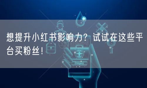 想提升小红书影响力？试试在这些平台买粉丝！