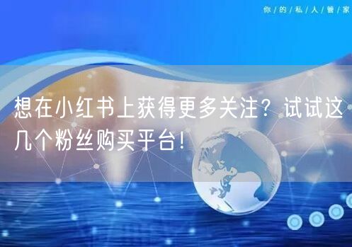 想在小红书上获得更多关注？试试这几个粉丝购买平台！