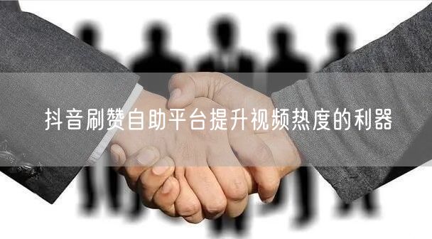 抖音刷赞自助平台提升视频热度的利器