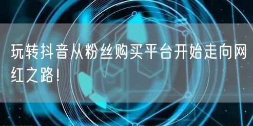 玩转抖音从粉丝购买平台开始走向网红之路！