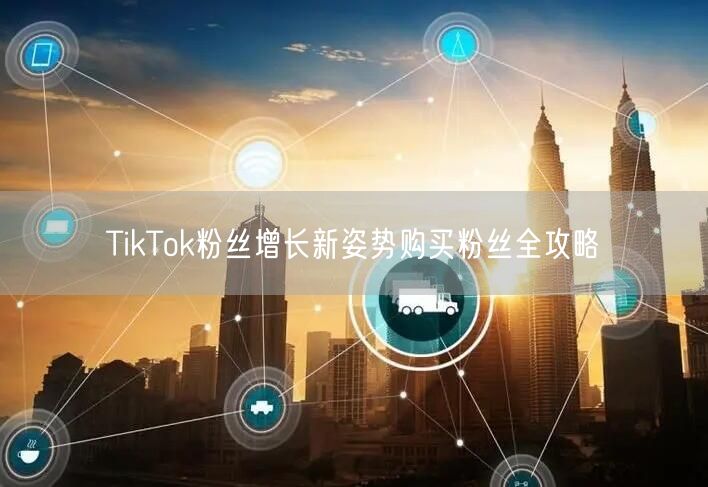 TikTok粉丝增长新姿势购买粉丝全攻略
