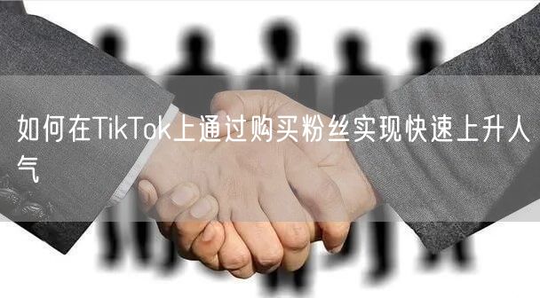 如何在TikTok上通过购买粉丝实现快速上升人气