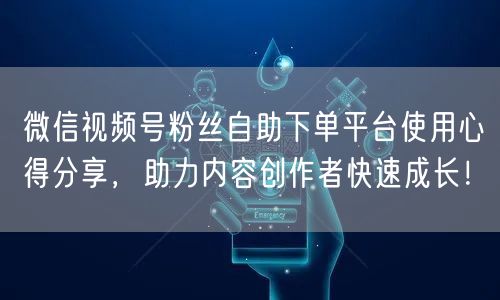 微信视频号粉丝自助下单平台使用心得分享，助力内容创作者快速成长！