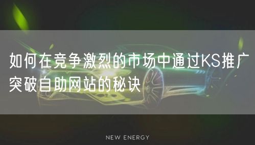 如何在竞争激烈的市场中通过KS推广突破自助网站的秘诀