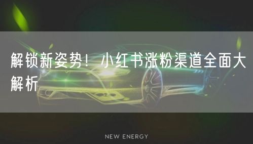 解锁新姿势！小红书涨粉渠道全面大解析
