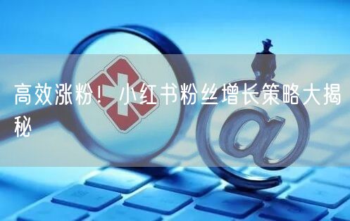 高效涨粉！小红书粉丝增长策略大揭秘