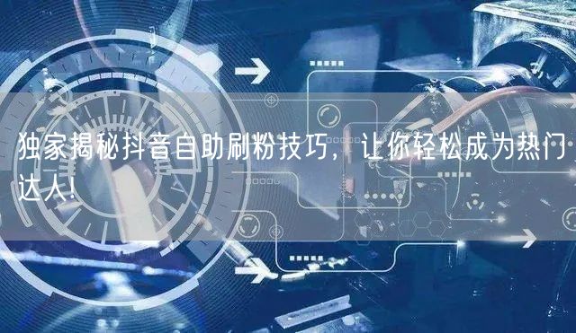 独家揭秘抖音自助刷粉技巧，让你轻松成为热门达人!