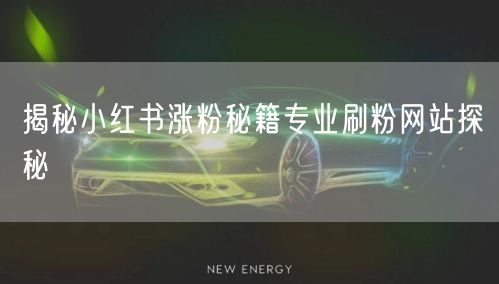 揭秘小红书涨粉秘籍专业刷粉网站探秘