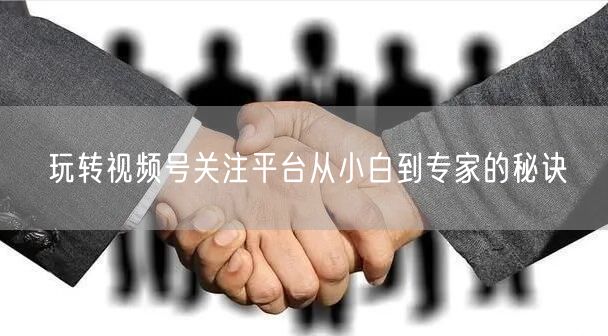 玩转视频号关注平台从小白到专家的秘诀