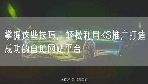 掌握这些技巧，轻松利用KS推广打造成功的自助网站平台