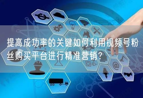 提高成功率的关键如何利用视频号粉丝购买平台进行精准营销？