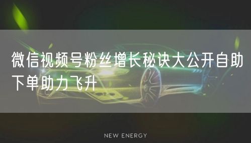 微信视频号粉丝增长秘诀大公开自助下单助力飞升