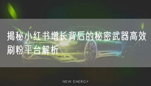 揭秘小红书增长背后的秘密武器高效刷粉平台解析
