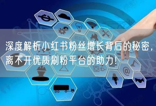 深度解析小红书粉丝增长背后的秘密，离不开优质刷粉平台的助力！
