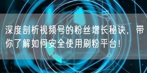 深度剖析视频号的粉丝增长秘诀，带你了解如何安全使用刷粉平台！
