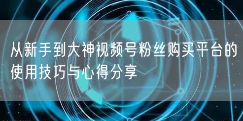 从新手到大神视频号粉丝购买平台的使用技巧与心得分享