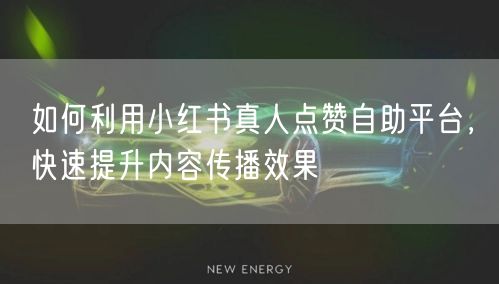 如何利用小红书真人点赞自助平台，快速提升内容传播效果