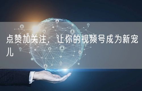点赞加关注，让你的视频号成为新宠儿