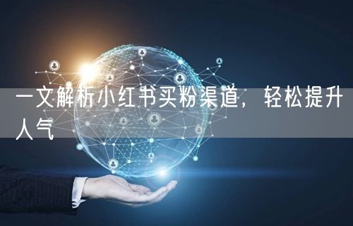 一文解析小红书买粉渠道，轻松提升人气