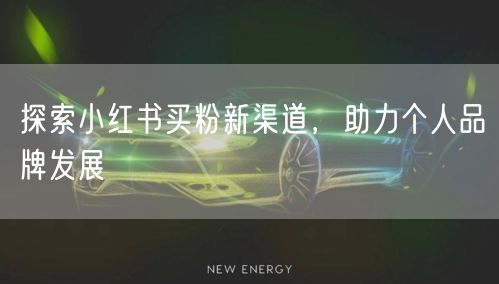 探索小红书买粉新渠道，助力个人品牌发展