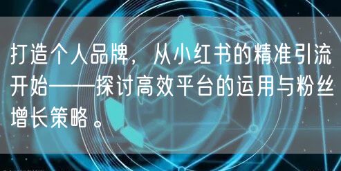 打造个人品牌，从小红书的精准引流开始——探讨高效平台的运用与粉丝增长策略。