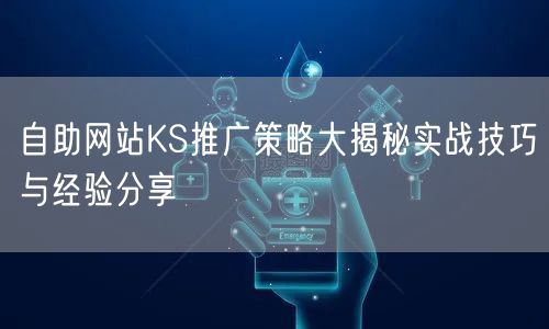 自助网站KS推广策略大揭秘实战技巧与经验分享