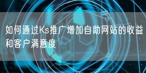 如何通过Ks推广增加自助网站的收益和客户满意度