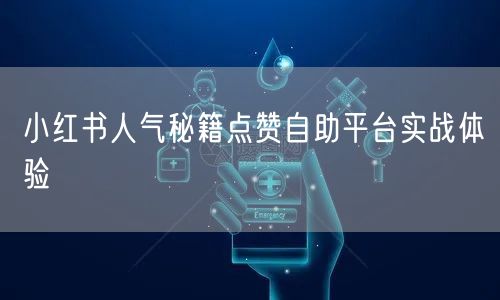 小红书人气秘籍点赞自助平台实战体验