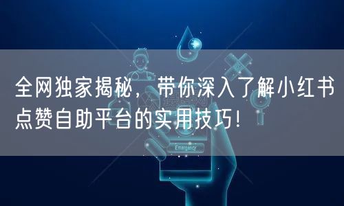 全网独家揭秘，带你深入了解小红书点赞自助平台的实用技巧！