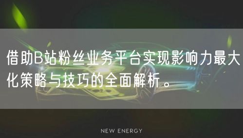 借助B站粉丝业务平台实现影响力最大化策略与技巧的全面解析。