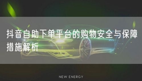 抖音自助下单平台的购物安全与保障措施解析