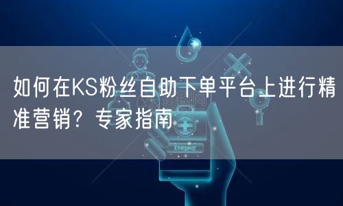 如何在KS粉丝自助下单平台上进行精准营销？专家指南