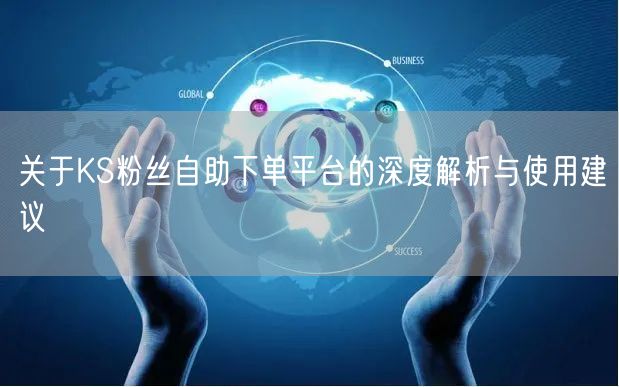 关于KS粉丝自助下单平台的深度解析与使用建议