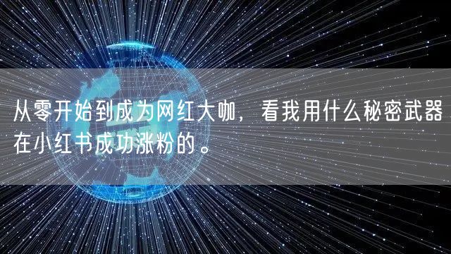 从零开始到成为网红大咖，看我用什么秘密武器在小红书成功涨粉的。