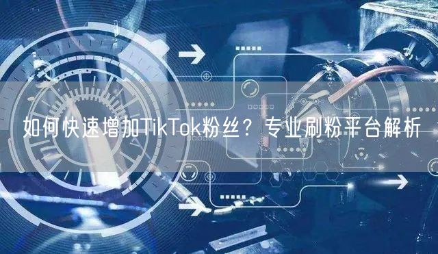如何快速增加TikTok粉丝？专业刷粉平台解析