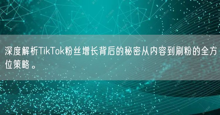深度解析TikTok粉丝增长背后的秘密从内容到刷粉的全方位策略。