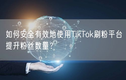 如何安全有效地使用TikTok刷粉平台提升粉丝数量？