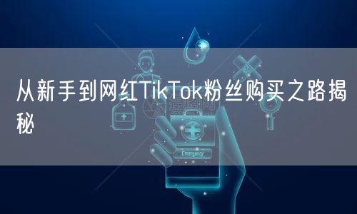 从新手到网红TikTok粉丝购买之路揭秘