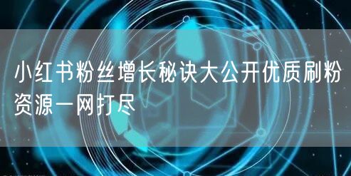 小红书粉丝增长秘诀大公开优质刷粉资源一网打尽