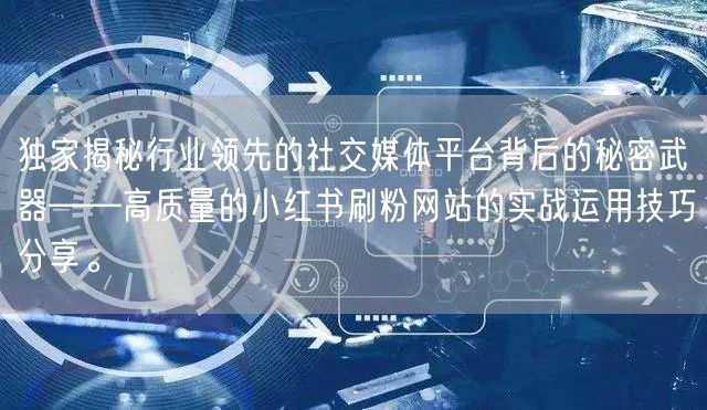 独家揭秘行业领先的社交媒体平台背后的秘密武器——高质量的小红书刷粉网站的实战运用